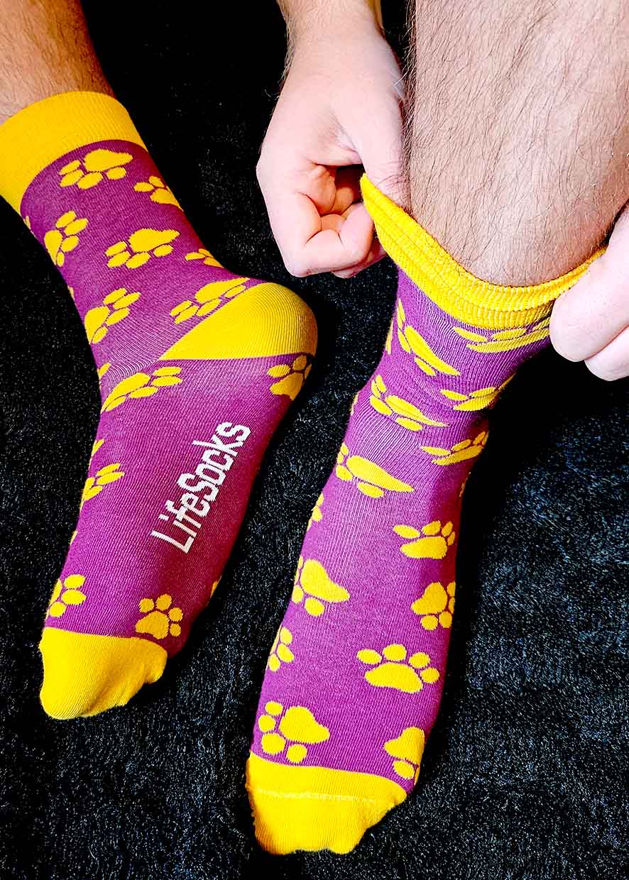 KNGF Geleidehonden LifeSocks