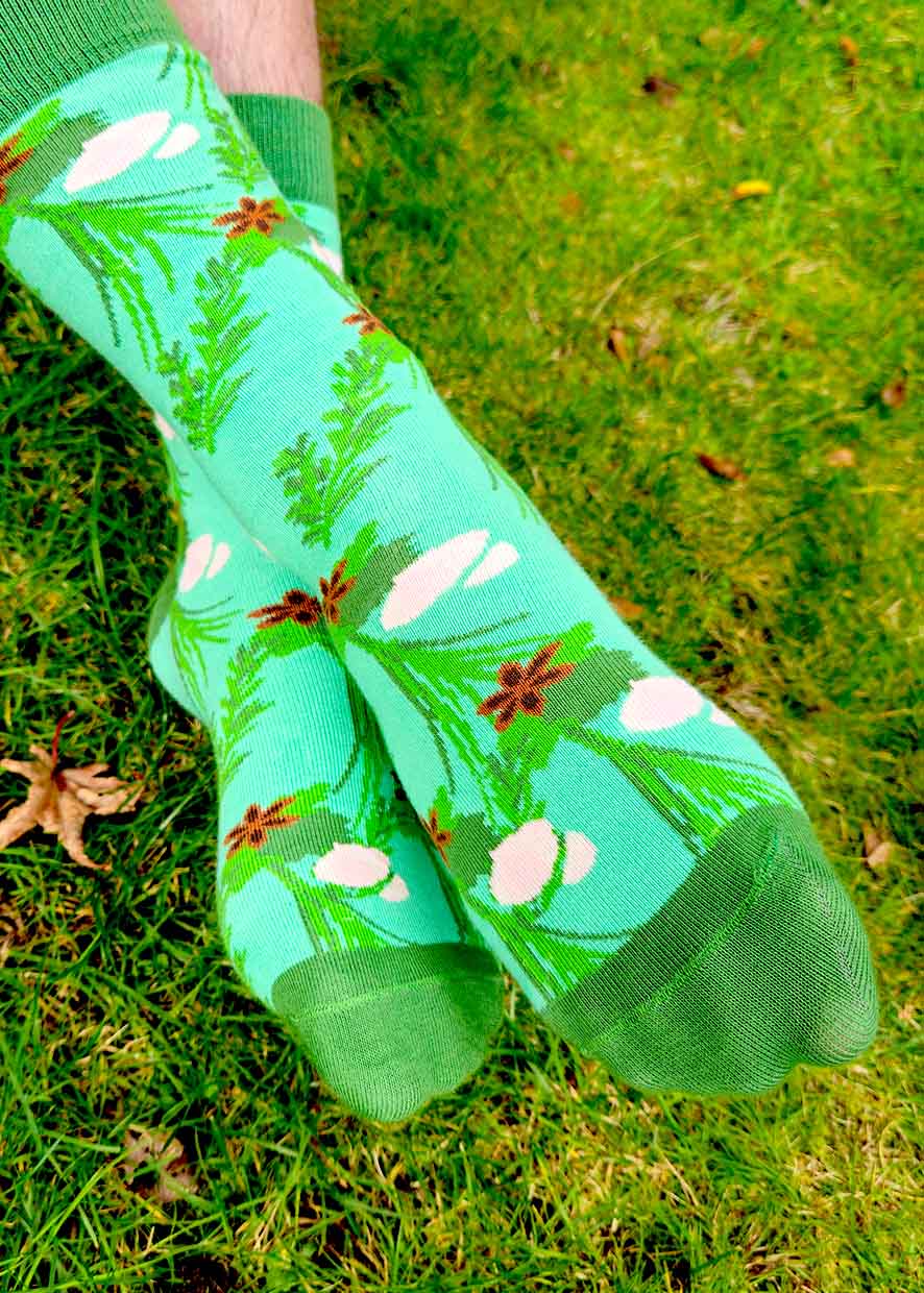 Nierstichting LifeSocks Kruidentuin