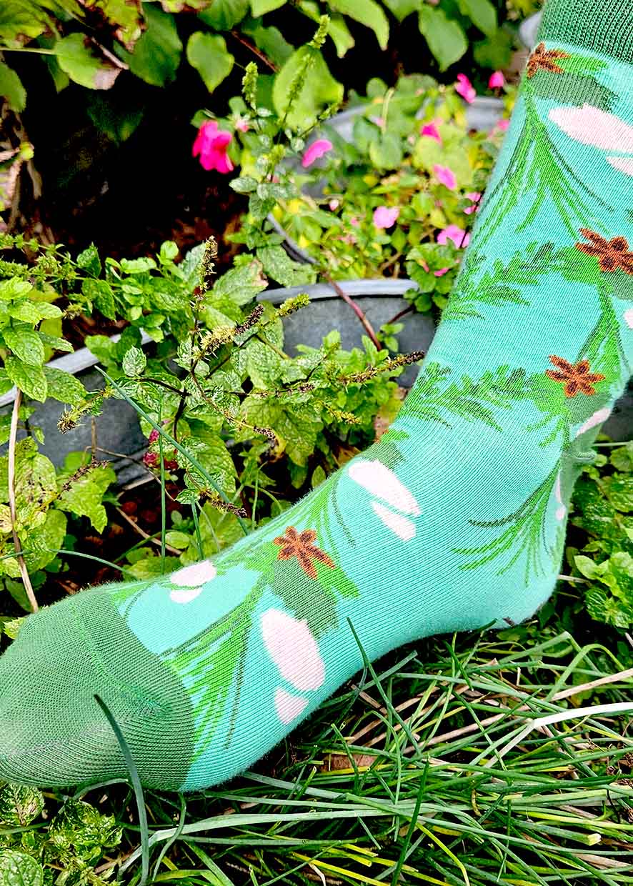 Nierstichting LifeSocks Kruidentuin